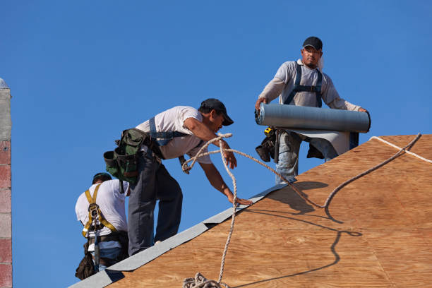 Best Roof Maintenance Services  in Cannon Af, NM