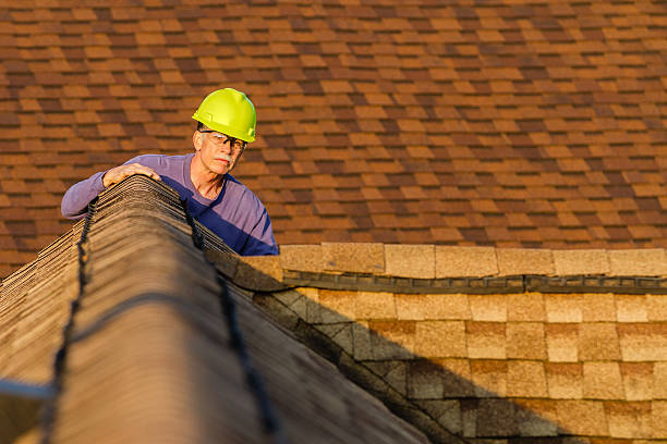 Quick and Trustworthy Emergency Roof Repair Services in Cannon Af, NM
