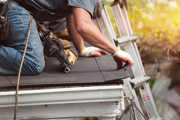 Best Flat Roof Repair Services  in Cannon Af, NM